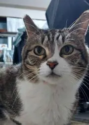 mamiの画像