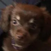 meの画像