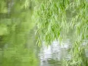 20日より発送など対応できませんの画像