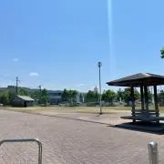 taiの画像