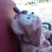 ころすけの画像