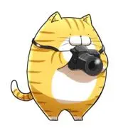 ✨カメラ猫ReoN✨プロフにフォロー割✨の画像