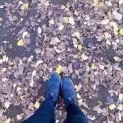 ちちちの画像