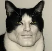 理事丸　りじまるの画像