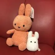 みーの画像