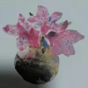 NOBUOchanの画像