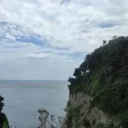 c453040569の画像
