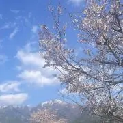❄︎雪❄︎プロフ有りの画像