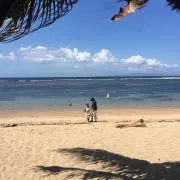 ノンパル