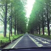 たっちーの画像
