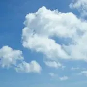 ゆーの画像
