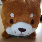 mini miniの画像
