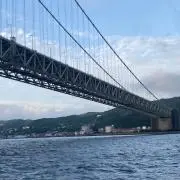 zeroadの画像
