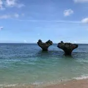 MIA☆の画像