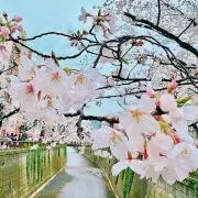 monの画像