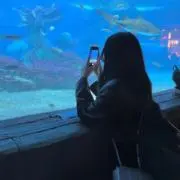 れぱの画像