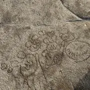 みの画像