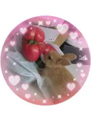 リラちゃんシークレット！ふわふわピンクぬいぐるみ - メルカリ