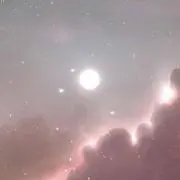 emuの画像