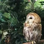 Yuの画像