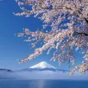 yuu 値下げ交渉可の画像