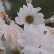 Emiri