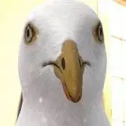 mm
