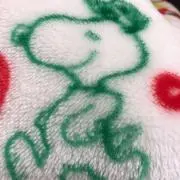りーの画像