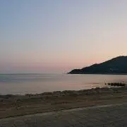 eagの画像