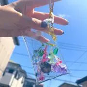 sの画像