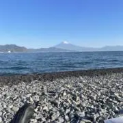 KPの画像