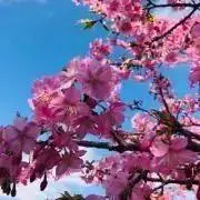 ayua☆プロフィール確認