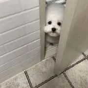 なの画像