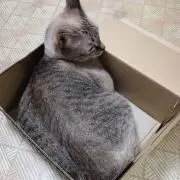 うーさん