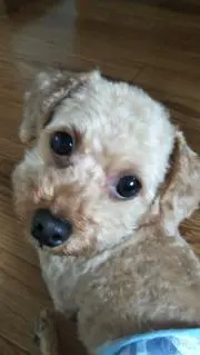 suntaの画像