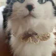 Hana♡の画像