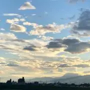 くりの画像