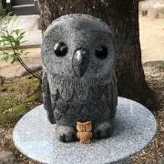 ひぃちゃん