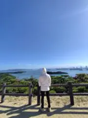 Tora