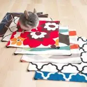 RW※プロフ必読の画像