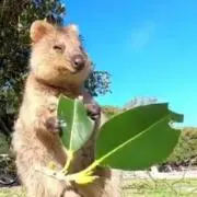 Bの画像