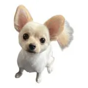 ひでち