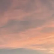 もも