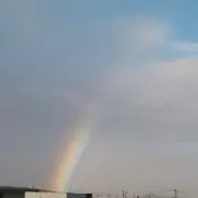 くるるんの画像