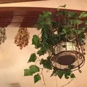 ひろ