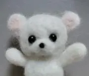 maib♪の画像