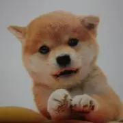 yumaの画像