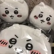 イケタニの画像