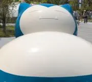 ぽむぞーの画像