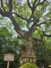 さかみよの画像